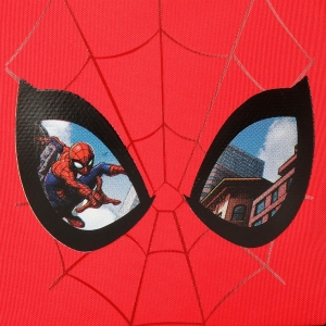 Estuche Spiderman Protector Dos Compartimentos